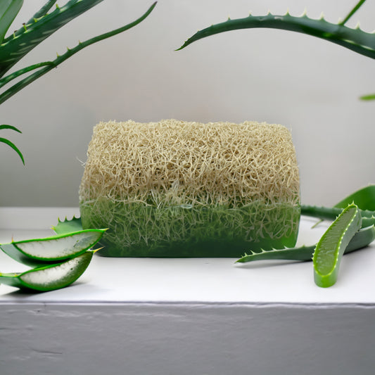 Natural Turkish Loofah Soap with Aloe Vera