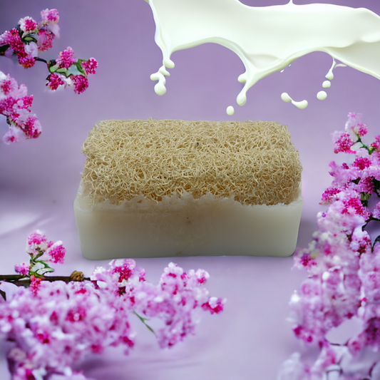 Natural Turkish Loofah Donkey Milk Soap